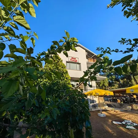 Pasa Konagi Ayvalik